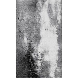 Esposa DVEŘNÍ ROHOŽKA, 70/120 cm šedá obraz