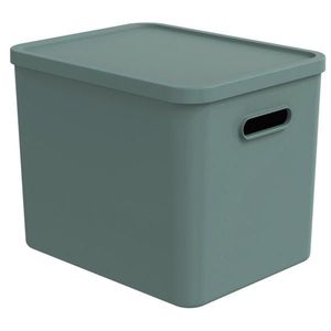 Rotho ÚLOŽNÝ BOX, plast obraz