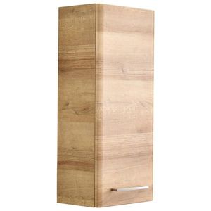 Xora ZÁVĚSNÁ SKŘÍŇKA, barvy dubu, 30/70/20 cm obraz