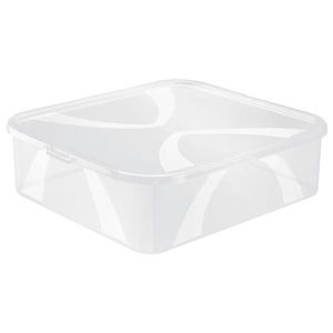 Rotho BOX S VÍKEM 12 l obraz