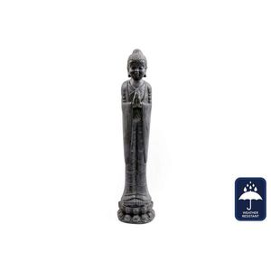 BUDDHA obraz