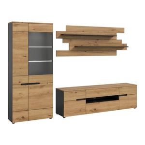 Livetastic OBÝVACÍ STĚNA dub artisan obraz