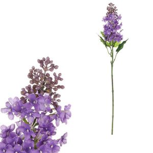 UMĚLÁ KVĚTINA 63 cm obraz
