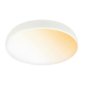 STROPNÍ LED SVÍTIDLO, 35/8.5 cm obraz