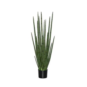 Pottery Pots Realistická umělá rostlina Sansevieria cylindrica, více velikostí - PotteryPots Velikost: M - ø 30 cm | v. 120 cm obraz