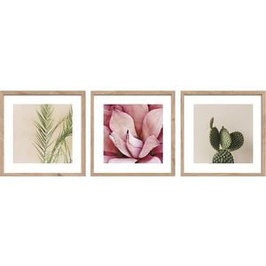 Tištěné obrazy v sadě 3 ks s rámem 30x30 cm Fresh – Styler obraz