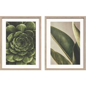 Tištěné obrazy v sadě 2 ks s rámem 30x40 cm Beauty Green – Styler obraz