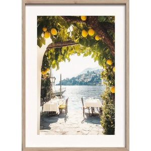 Tištěný obraz s rámem 50x70 cm Lemon View – Styler obraz
