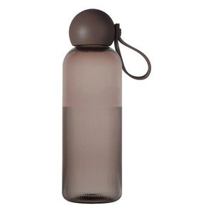 Hnědá cestovní lahev z recyklovaného plastu 650 ml Tom – Sagaform obraz
