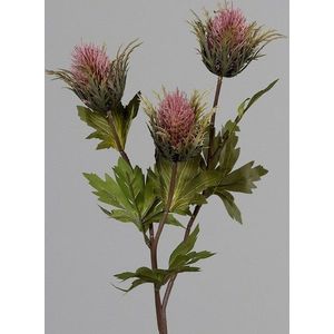 Umělá květina (výška 68 cm) Thistle – Ego Dekor obraz