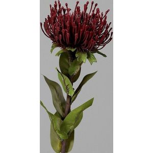 Umělá květina (výška 74 cm) Protea – Ego Dekor obraz