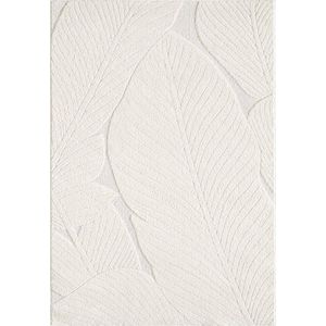 Krémový koberec 160x230 cm Lamina – ESTE obraz