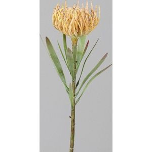 Umělá květina (výška 43 cm) Protea – Ego Dekor obraz