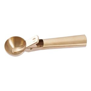 Naběračka na zmrzlinu z nerezové oceli Barron – Premier Housewares obraz