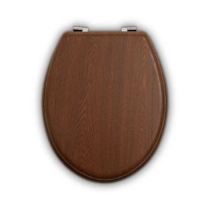 Záchodové prkénko Brooks – Premier Housewares obraz