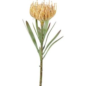 Umělá květina (výška 43 cm) Protea – Ego Dekor obraz
