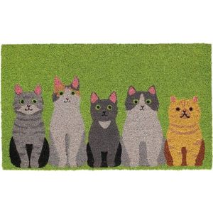 Rohožka z kokosového vlákna 45x75 cm – Esschert Design obraz