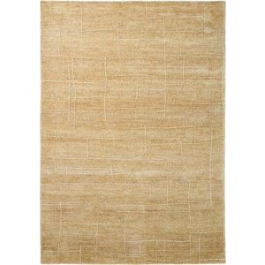 Ručně tkaný koberec v hořčicové barvě 200x300 cm Eloda – Kave Home obraz