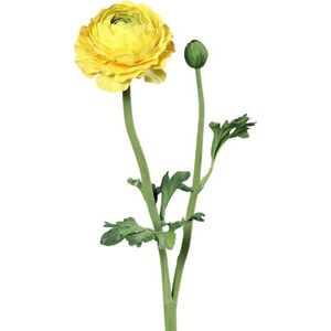 Umělá květina (výška 50 cm) Buttercup – Ego Dekor obraz
