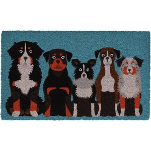 Rohožka z kokosového vlákna 45x75 cm – Esschert Design obraz