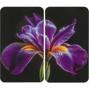 Kryty na sporák v sadě 2 ks z tvrzeného skla 52x30 cm Iris – Wenko obraz
