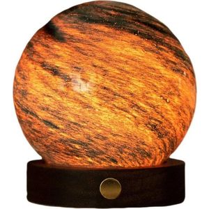 Tmavě hnědá/v tmavě přírodní barvě světelná dekorace na USB ø 8 cm Stellar Ocean – Gingko obraz