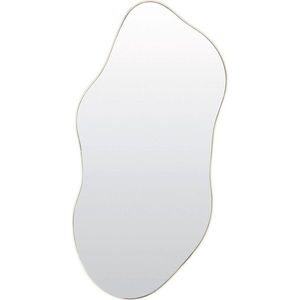 Nástěnné zrcadlo 59x120, 5 cm Azula – Light & Living obraz