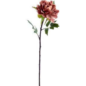 Umělá květina (výška 65 cm) Peonia – Light & Living obraz