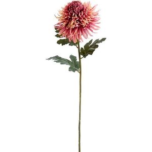 Umělá květina (výška 91 cm) Chrysantheme – Light & Living obraz