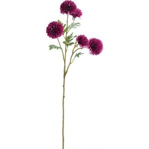 Umělá květina (výška 73 cm) Crisantemi – Light & Living obraz