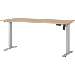 Polohovací pracovní stůl s elektricky nastavitelnou výškou s deskou v dubovém dekoru 80x160 cm Boras – Germania obraz
