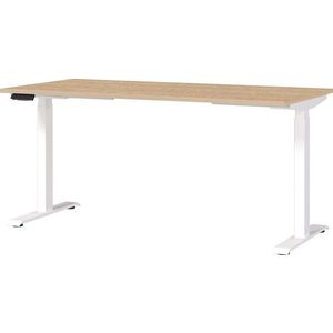 Polohovací pracovní stůl s elektricky nastavitelnou výškou s deskou v dubovém dekoru 80x160 cm Jet – Germania obraz