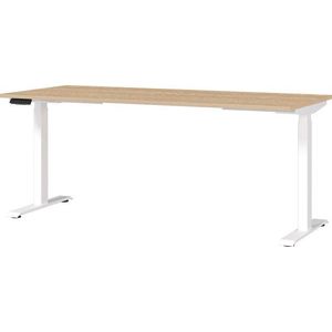 Polohovací pracovní stůl s elektricky nastavitelnou výškou s deskou v dubovém dekoru 80x180 cm Jet – Germania obraz