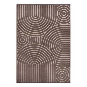 Hnědý koberec 160x235 cm Iconic Wave – Hanse Home obraz