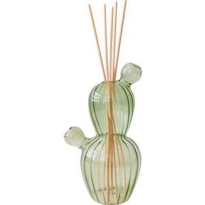Difuzér Cactus – Brandani obraz