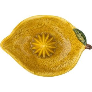Kameninový odšťavňovač Limone – Bloomingville obraz