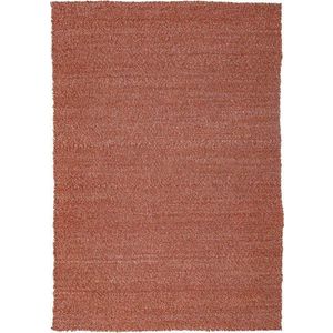 Ručně tkaný koberec v terakotové barvě 200x290 cm Finley – Flair Rugs obraz