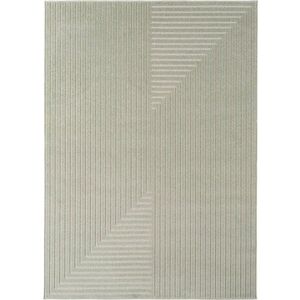 Zelený vnitřní a venkovní koberec 160x230 cm Nova 1202 – Ayyildiz Carpets obraz