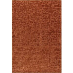 Koberec v terakotové barvě 200x290 cm – Asiatic Carpets obraz