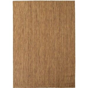 Hnědý vnitřní a venkovní koberec 160x230 cm Mira 1450 – Ayyildiz Carpets obraz