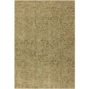 Zelený koberec 200x290 cm – Asiatic Carpets obraz