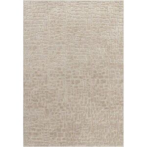 Béžový koberec 160x230 cm – Asiatic Carpets obraz