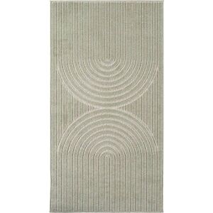 Zelený vnitřní a venkovní koberec 80x150 cm Nova 1201 – Ayyildiz Carpets obraz