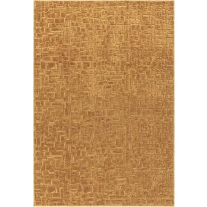 Koberec v hořčicové barvě 200x290 cm – Asiatic Carpets obraz