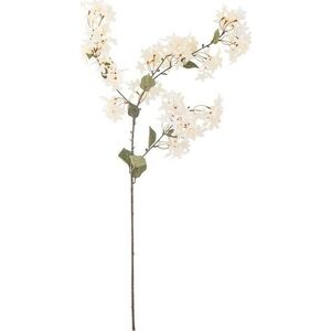 Umělá květina (výška 100 cm) Myrtle – Bloomingville obraz