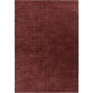 Vínový ručně tkaný koberec 160x230 cm – Asiatic Carpets obraz