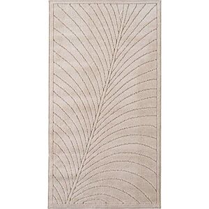 Béžový vnitřní a venkovní koberec 80x150 cm Nova 1204 – Ayyildiz Carpets obraz