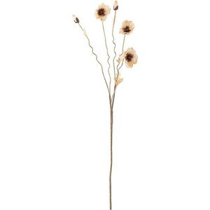 Umělá květina (výška 104 cm) Poppy – Bloomingville obraz