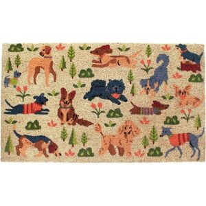 Rohožka z kokosového vlákna 73x43 cm Dog Park – Rex London obraz