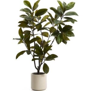 Umělá rostlina (výška 160 cm) Magnolia – Kave Home obraz